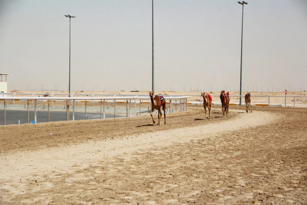 Prayer time in Al Shahaniya, Qatar — desert mosque